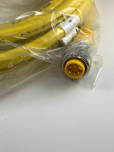 Load image into Gallery viewer, RYM55-6M - TURCK - Single-ended mating cable / cordset - Turck - #U99-13073 -
